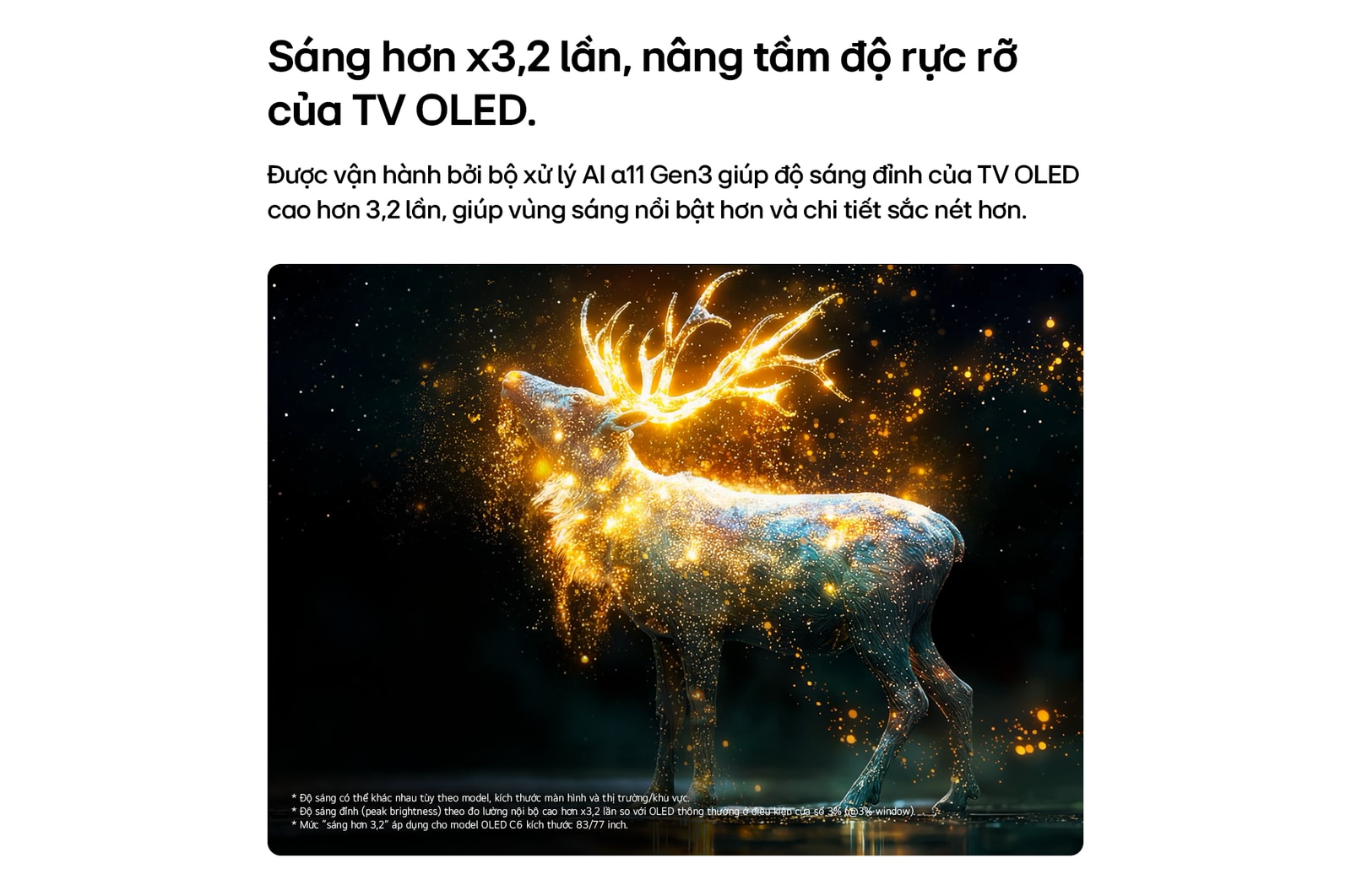 LG OLED evo AI C6 with Brightness Booster shows a dark scene where a brilliantly illuminated peacock spreads its radiant, glowing feathers, delivering brighter highlights with improved detail and striking contrast.